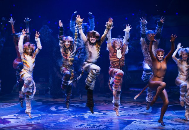 Cats at McAllen Performing Arts Center