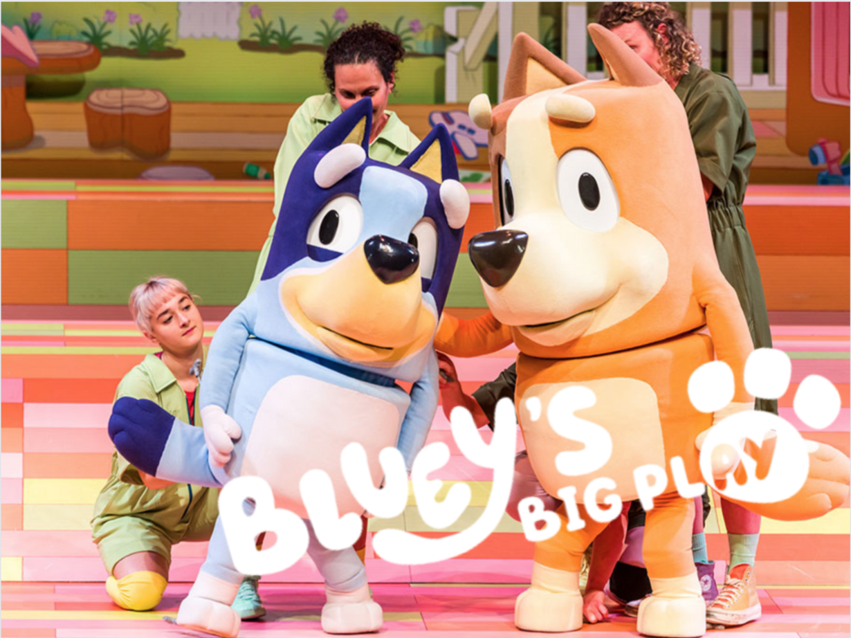 Bluey's Big Play at McAllen Performing Arts Center